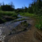 creek at bailey beach