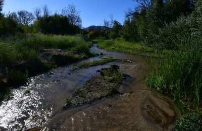 creek at bailey beach