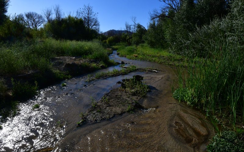 creek at bailey beach