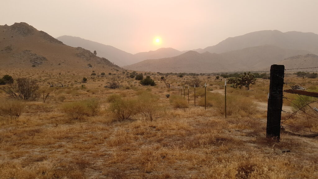 west side of Monkey Flower Ranch