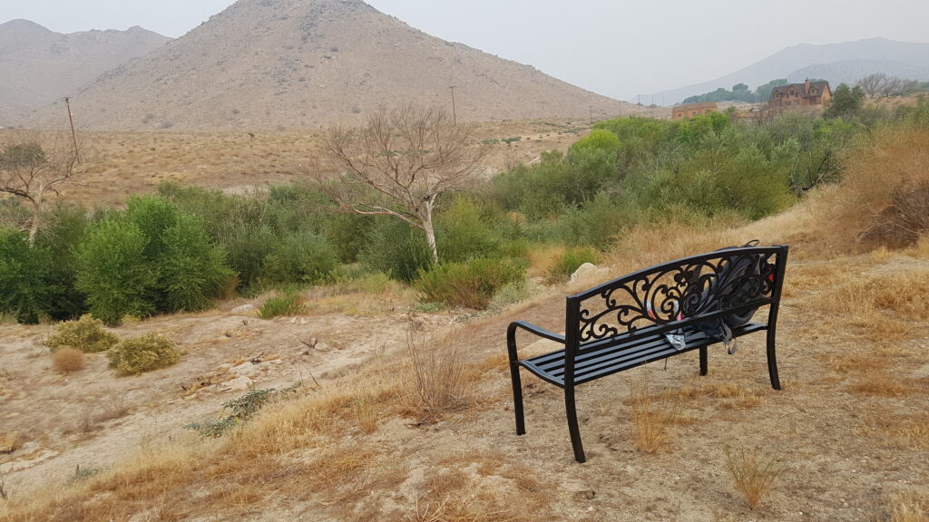 Bench on lookout ridge