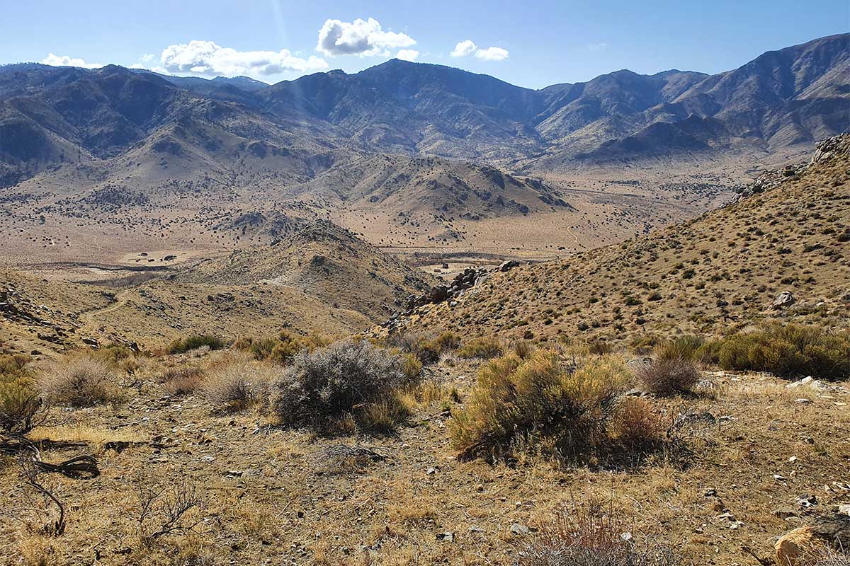 View of Monkey Flower ranch
