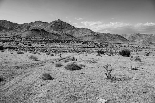 Facing north in Bob Rabbit Canyon